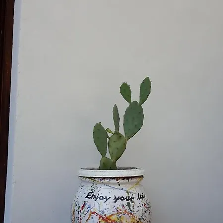 B&B Etnaspecial 니콜로시